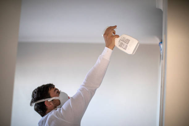 Best Mold Cleaning Services  in Elwood, IL